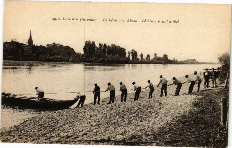 Carte postale ancienne Langon - La peche aux aloses à Langon