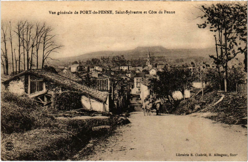 Carte postale ancienne Vue générale de Port-de-Penne