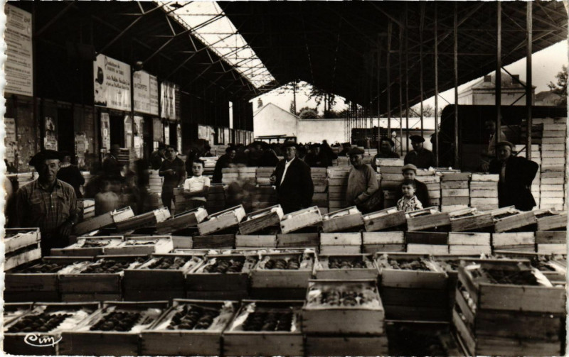 Carte postale ancienne Payssas - Le marche aux fruits