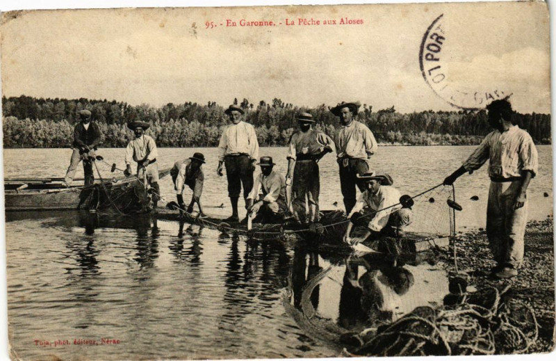 Carte postale ancienne En Garonne - La Peche aux Aloses