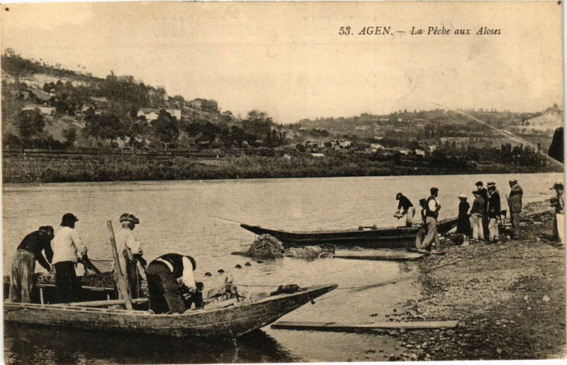 Carte postale ancienne Agen - La Peche aux Aloses à Agen