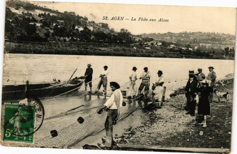 Carte postale ancienne Agen - La Peche aux Aloses à Agen