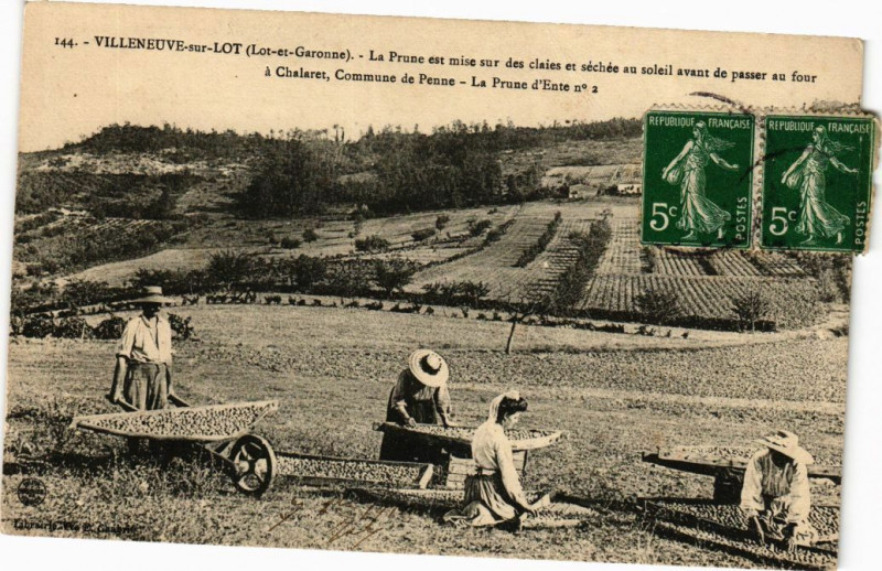 Carte postale ancienne Villeneuve-sur-Lot - La Prune est mise sur des claisesâ€¦ à Villeneuve-sur-Lot