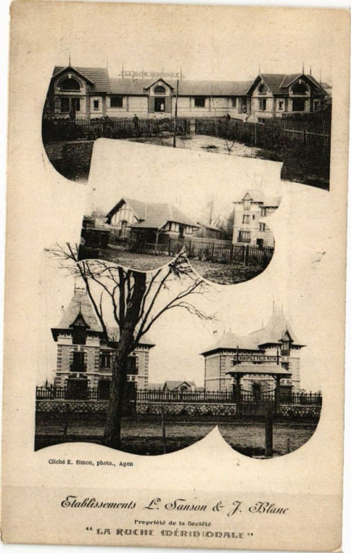 Carte postale ancienne La Ruche Meridiodale - Etabl.s