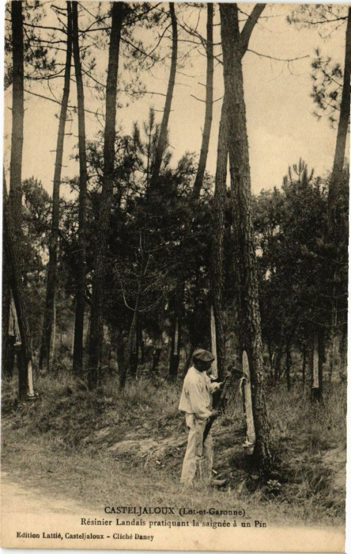 Carte postale ancienne Casteljaloux-Resinier Landais pratiquant la saignée a un Pin à Casteljaloux