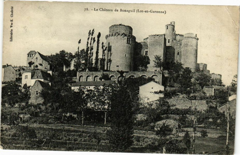 Carte postale ancienne Chateau de Boneguil (Xiv siecle)