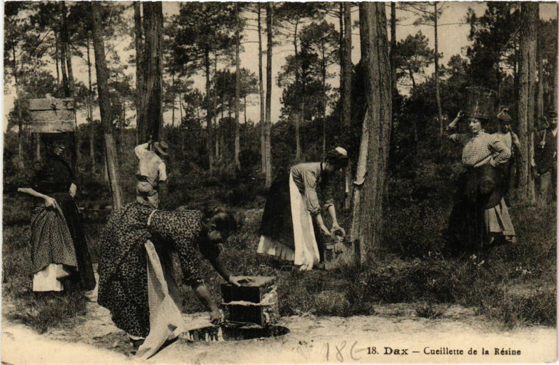 Carte postale ancienne Dax - Cueillette de la Resine - Folklore à Dax