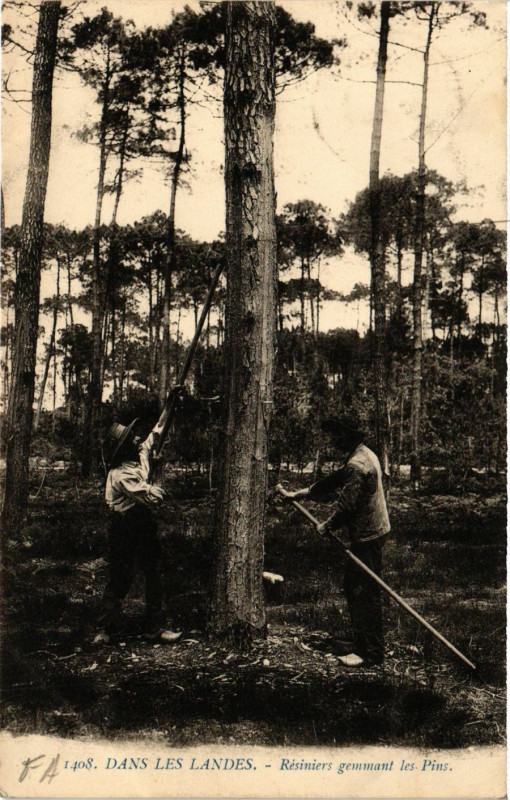 Carte postale ancienne Dans les Landes - Resiniers Gemmant les Pins - Folklore à Mant