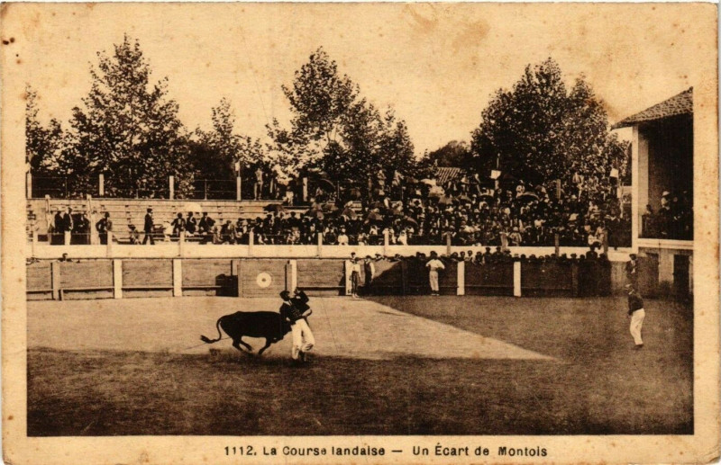 Carte postale ancienne La Course Landaise - Un Ecart de Montois