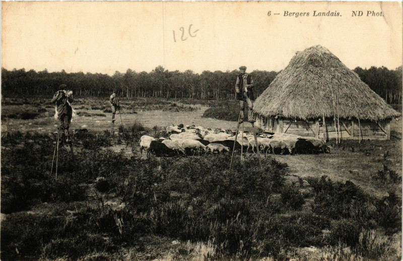 Carte postale ancienne Landes - Bergers Landais - Folklore