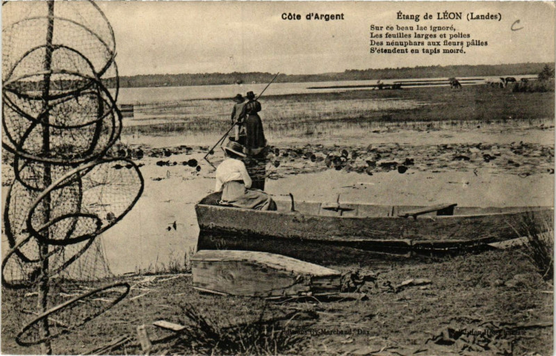 Carte postale ancienne Cote d'Argent - Etang de Léon à Léon
