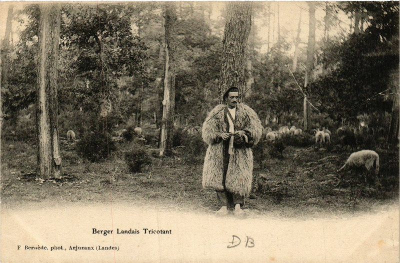 Carte postale ancienne Berger Landais Tricotant - Folklore