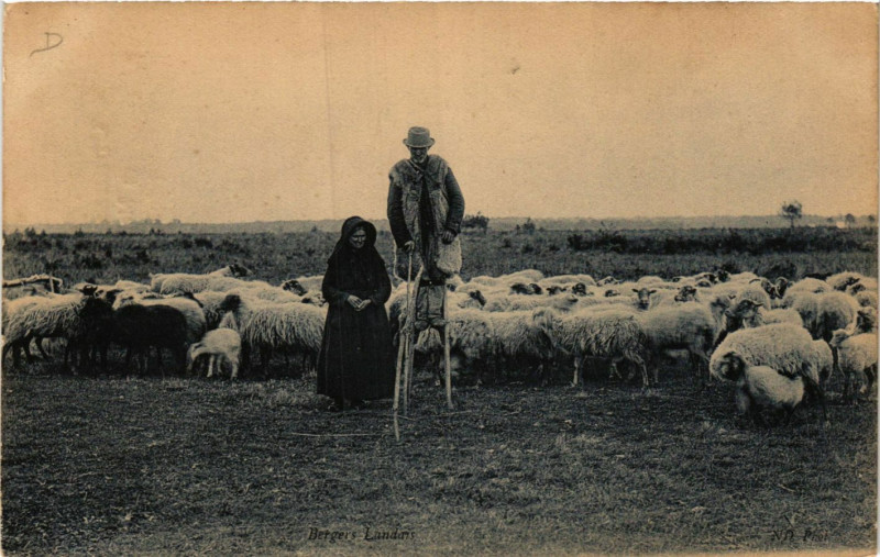 Carte postale ancienne Bergers Landais - Folklore