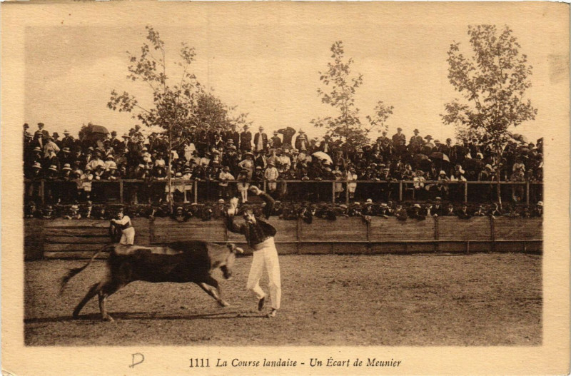 Carte postale ancienne La Course Landaise - Un Ecart de Meunier - Folklore