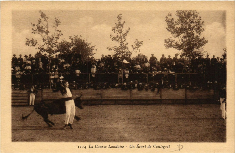 Carte postale ancienne La Course Landaise - Un Ecart de Cantegril - Folklore