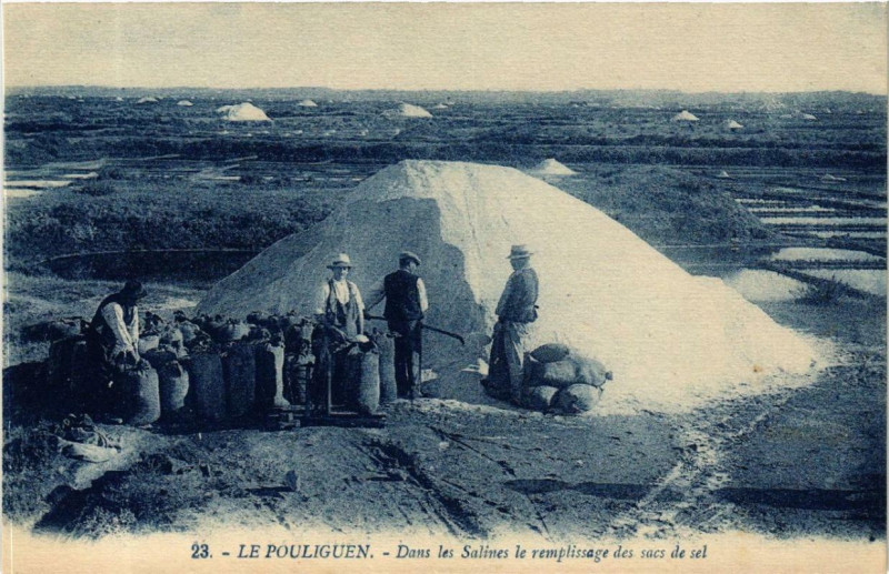 Carte postale ancienne Le Pouliguen Dans les Salines le remplissage des sacs de sel au Pouliguen