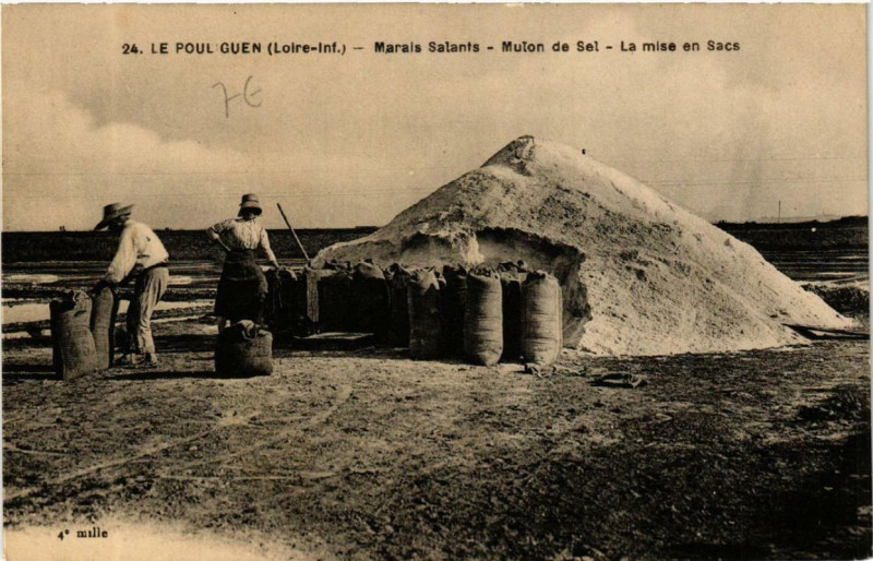 Carte postale ancienne Le Pouliguen Marais salants - Mulon de Sel - La mise en Sacs au Pouliguen