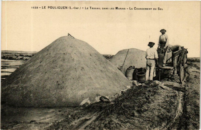 Carte postale ancienne Le Pouliguen Le Travail dans les Marais - Le Chargement du Sel au Pouliguen