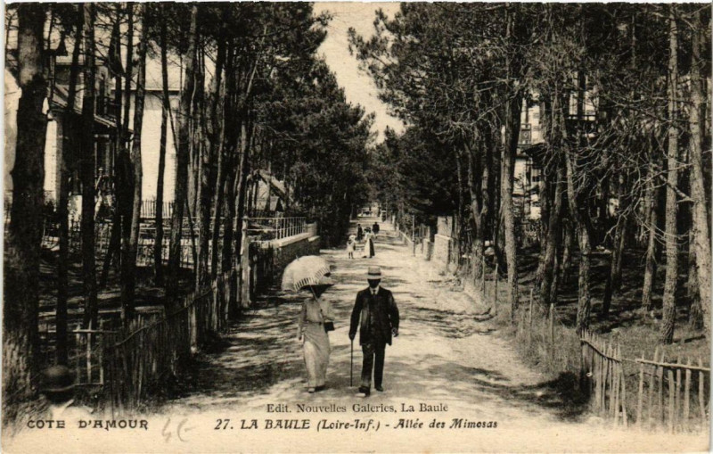 Carte postale ancienne La Baule Allée des Mimosas