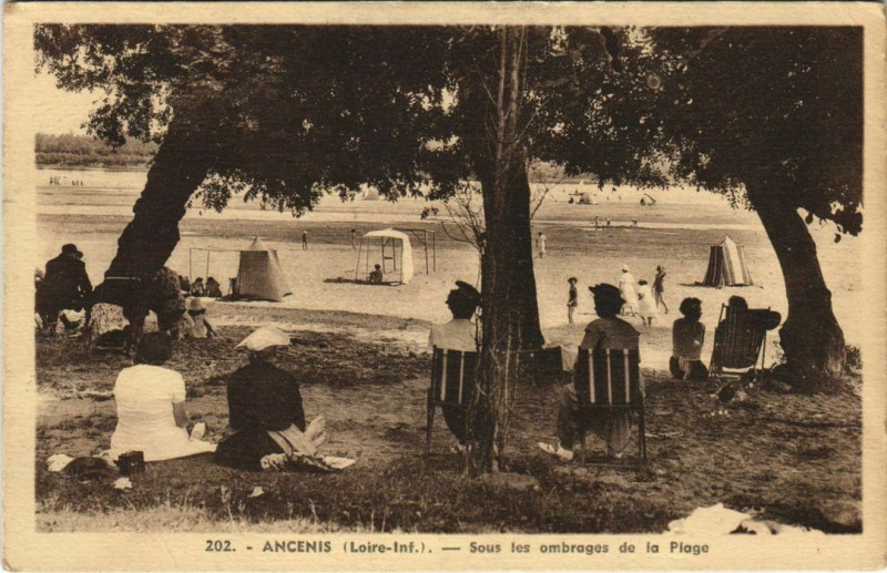 Carte postale ancienne Ancenis Sous les ombrages de la Plage