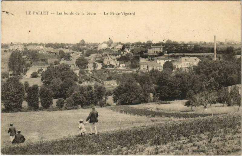 Carte postale ancienne Le Pallet Les Bords de la Sevre Le Pe de Vignard au Pallet
