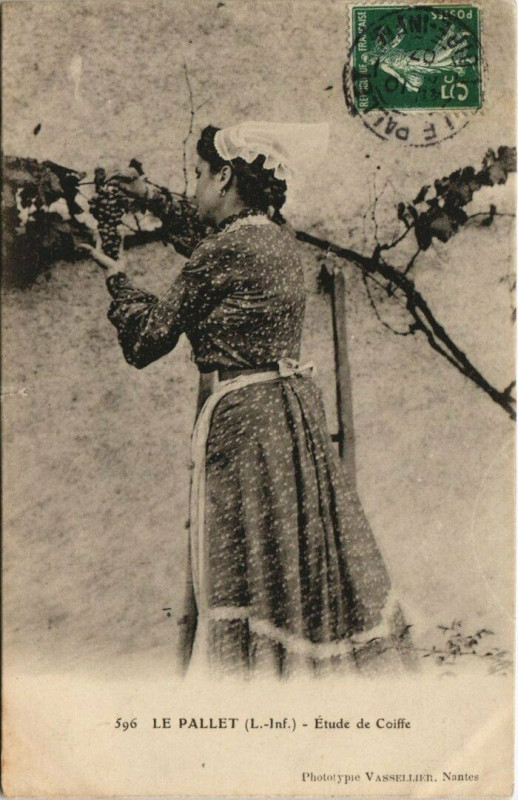 Carte postale ancienne Le Pallet Etude de Caiffe au Pallet