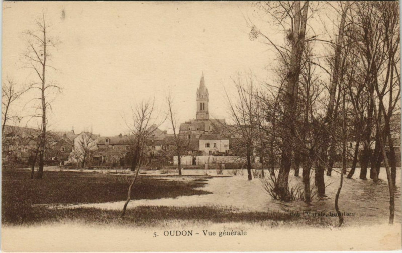 Carte postale ancienne Oudon Vue générale à Oudon