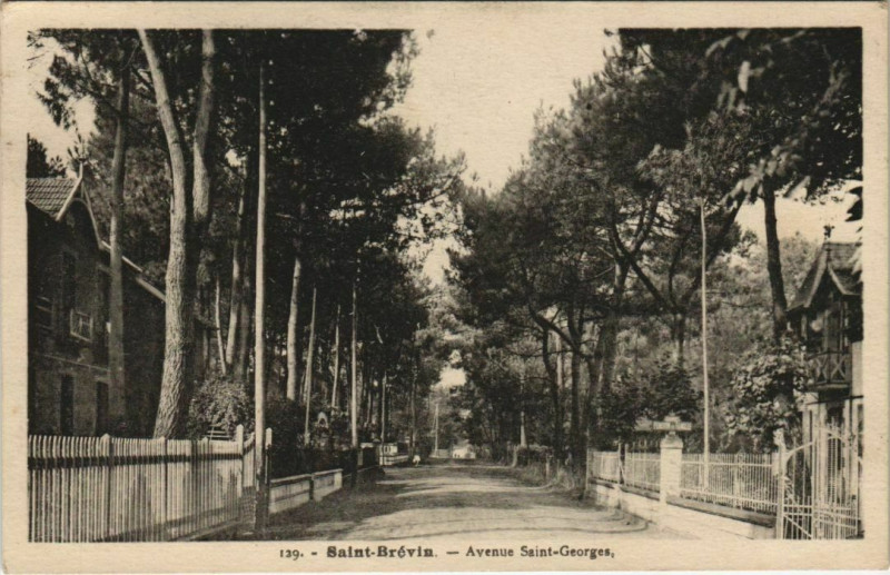 Carte postale ancienne Saint-Brevin Avenue Saint-Georges