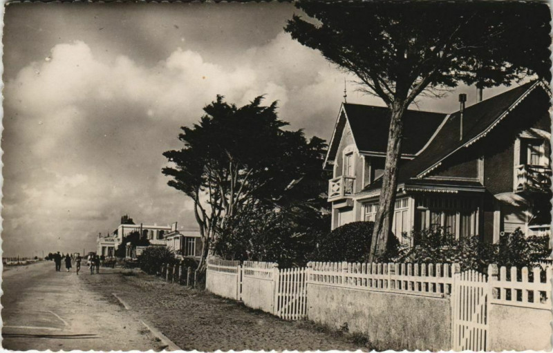 Carte postale ancienne Tharon Boulevard de l'Ocean