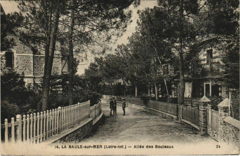 Carte postale ancienne La Baule-sur-Mer Alle de Bouleaux