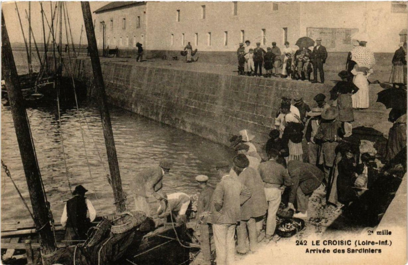 Carte postale ancienne Le Croisic Arrivée des Sardiniers au Croisic