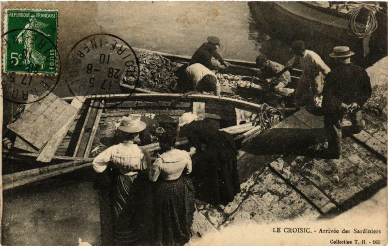 Carte postale ancienne Le Croisic Arrivée des Sardiniers au Croisic