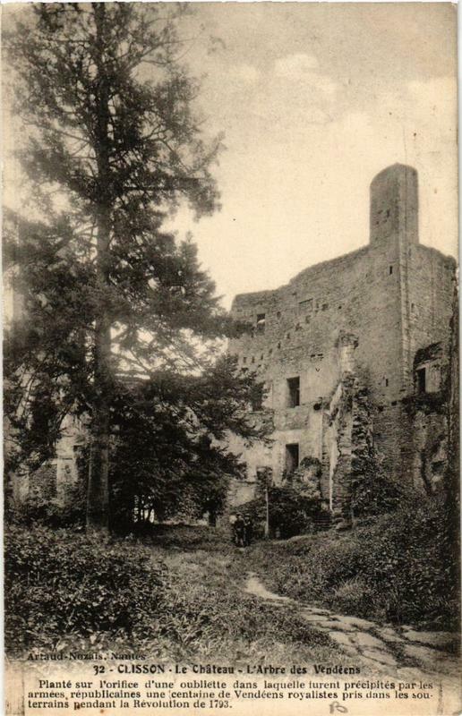 Carte postale ancienne Clisson Le Chateau - L'Arbre des Vendéens à Clisson
