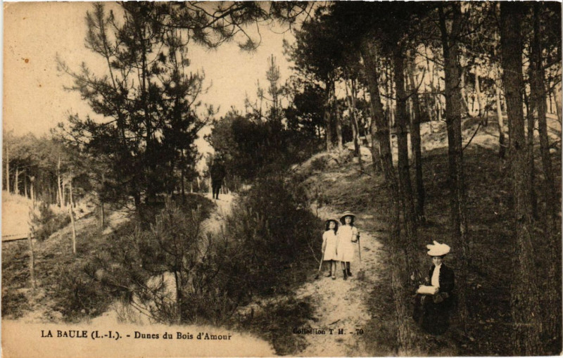 Carte postale ancienne La Baule (L.-I.) - Dunes du Bois d'Amour