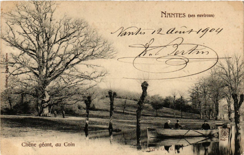Carte postale ancienne Nantes (ses environs) -Chene geant, au Coin à Nantes