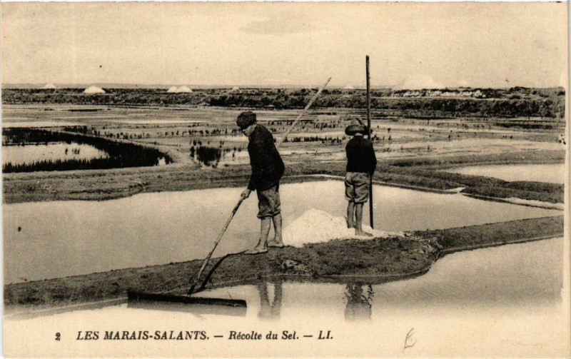 Carte postale ancienne Les Marais-Salants - Recolte du Sel