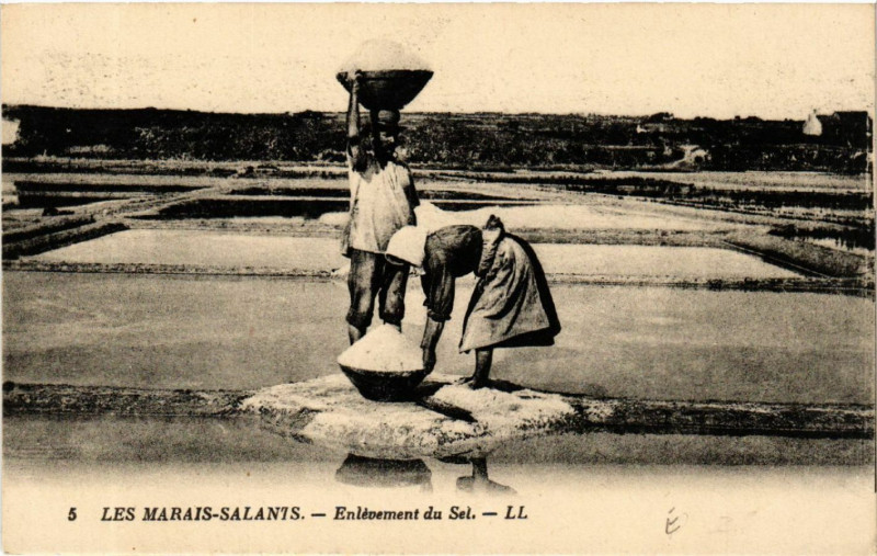 Carte postale ancienne Les Marais-Salants - Enlevement du Sel