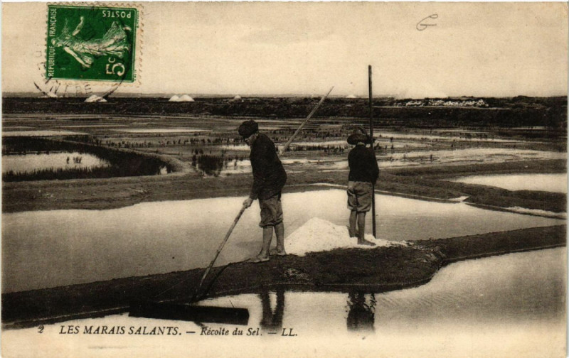 Carte postale ancienne Les Marais Salants - Recolte du Sel