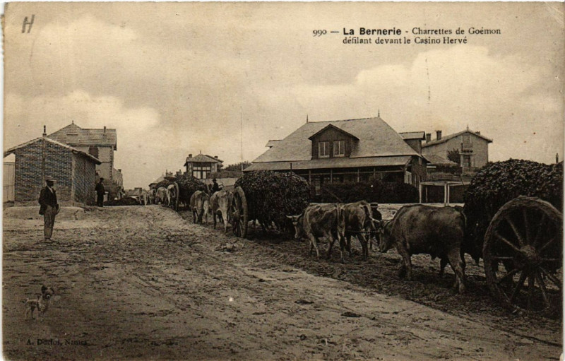 Carte postale ancienne La Bernerie - Charrettes de Goemon defilant devant le Casino Herve