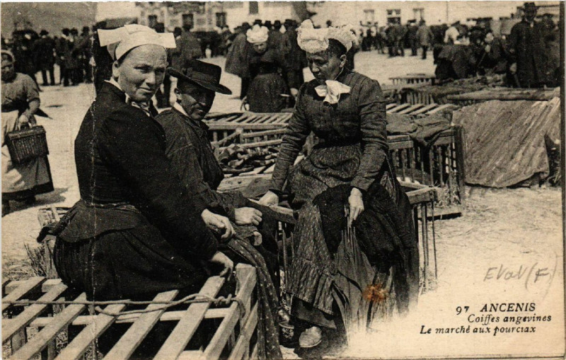 Carte postale ancienne Ancenis -Coiffes angevines - Le marche aux pourcrax