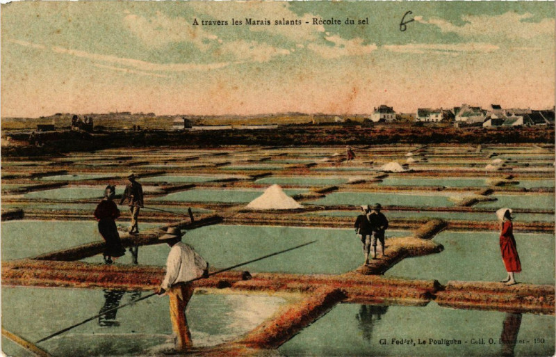 Carte postale ancienne A travers les Marais salante - Recolte du sel