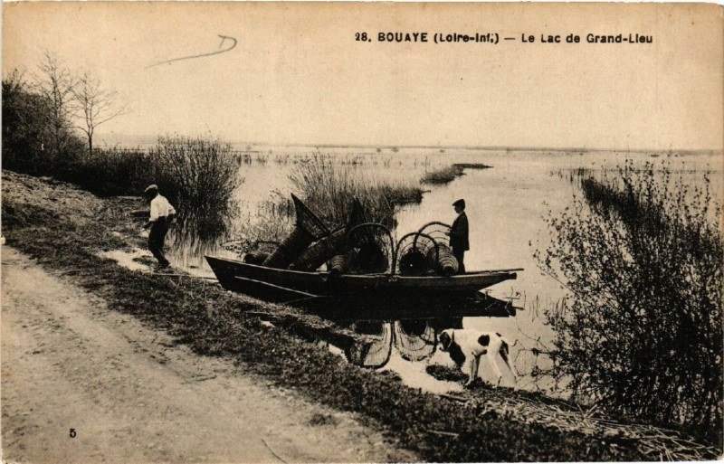 Carte postale ancienne Bouaye (Loire-Inf.) - Le Lac de Grand-Lieu à Bouaye