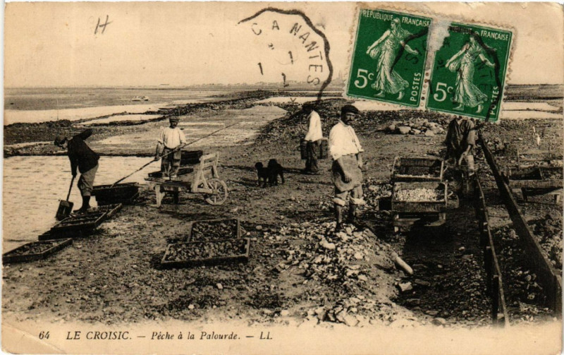 Carte postale ancienne Le Croisic - Peche a la Palourde au Croisic
