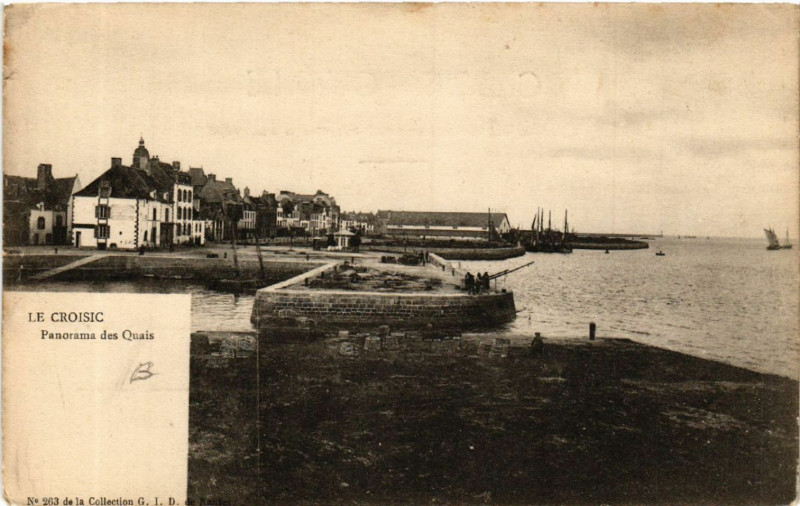 Carte postale ancienne Le Croisic - Panorama des Quais au Croisic