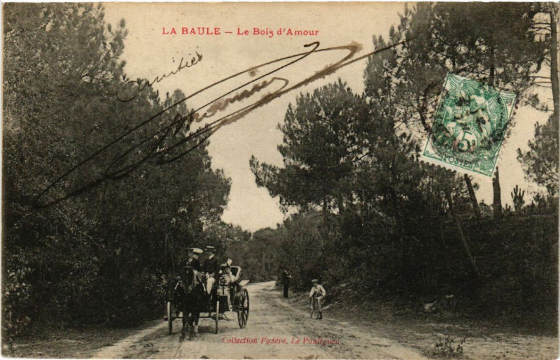 Carte postale ancienne La Baule - Le Bois d'Amour