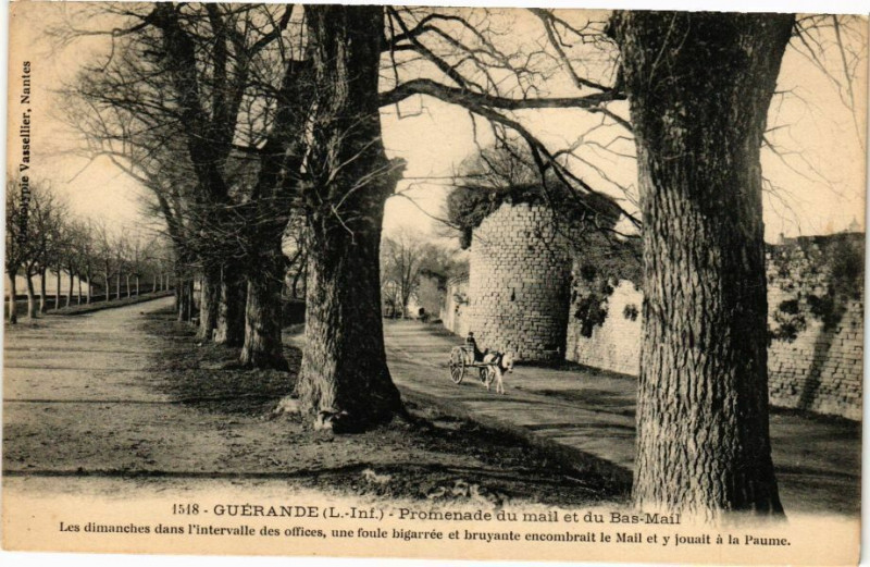 Carte postale ancienne Guerande - Promenade du mail et du Bas-Mail à Guérande