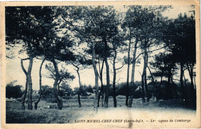 Carte postale ancienne Saint-Michel-Chef-Chef - Les Sapins Comberge à Saint-Michel-Chef-Chef