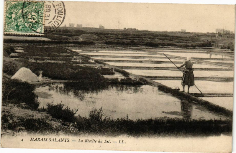 Carte postale ancienne Marais Salants - La Recolte du Sel