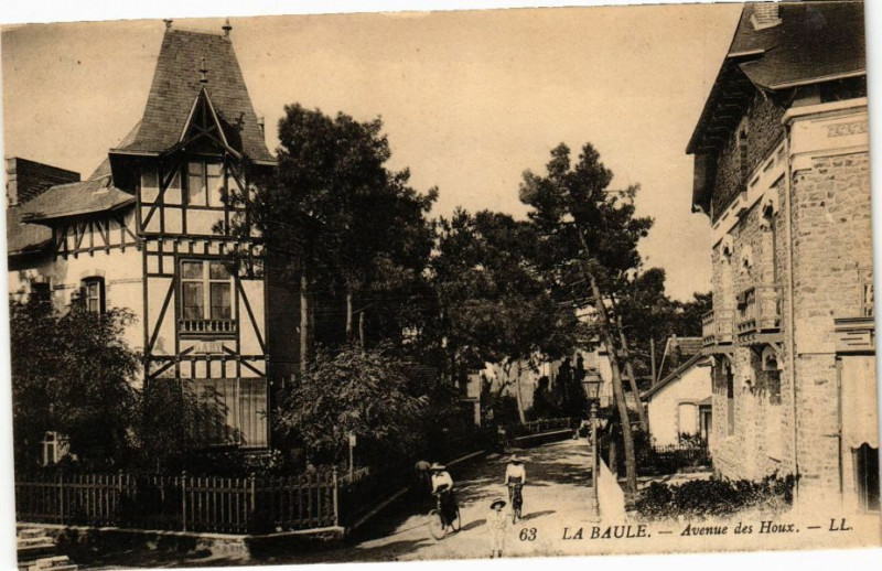 Carte postale ancienne La Baule - Avenue des Houx
