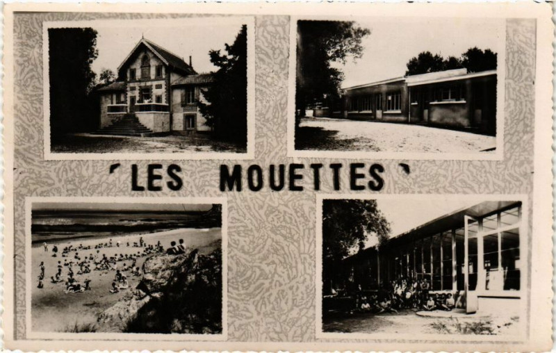 Carte postale ancienne Les Mouettes